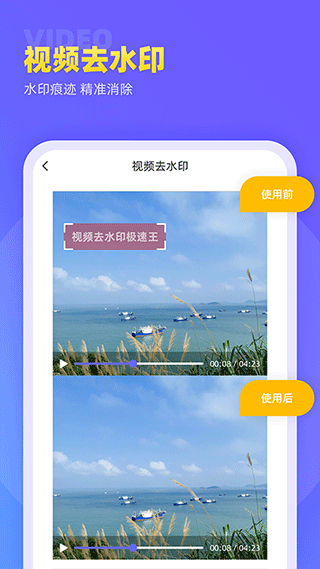 视频去水印极速王软件