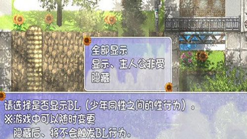 我的暑假秘密回忆2.0繁星新春版