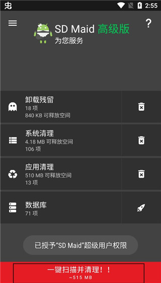 sd maid清理专业版