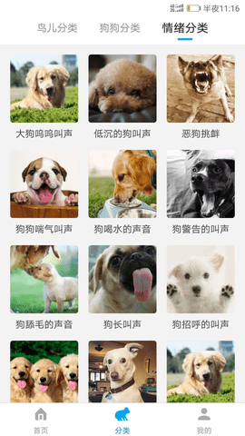 动物翻译器免费版