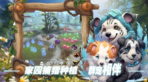 双生圣王游戏