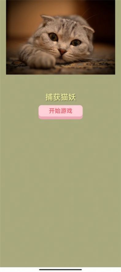 捕获猫妖游戏