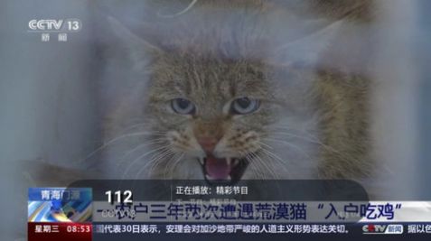 高清TV安卓版app最新下载图片1