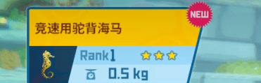 潜水员戴夫怎么抓海马?潜水员戴夫抓海马工具一览 潜水员戴夫怎么抓海马?潜水员戴夫抓海马工具一览