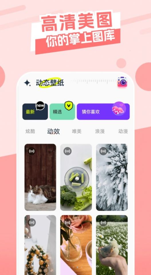 主题库精灵app下载官方版图片1