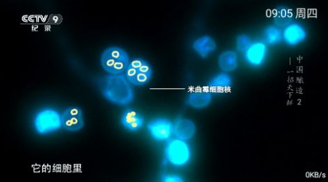 小乐tv电视版软件下载安装图片1