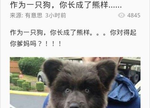 Flyme阅读APP下载-Flyme阅读安卓版下载v1.2.3