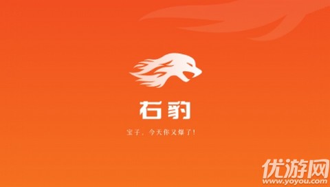 右豹