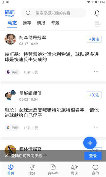 猫体比分