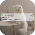 真的会有小笨蛋哭完后继续爱你图片 真的会有小笨蛋哭完后继续爱你图片
