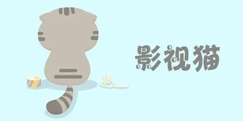 追影猫