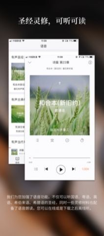 微读圣经免费下载2024