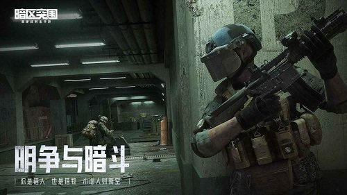 暗区突围黄鹂鸟直装