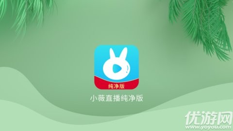 小微直播纯净版