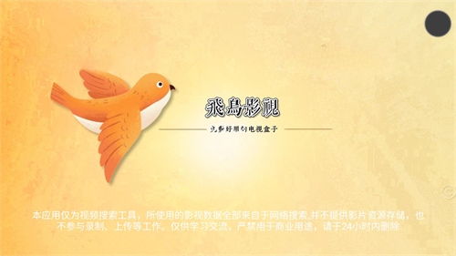 飞鸟影视旧版本
