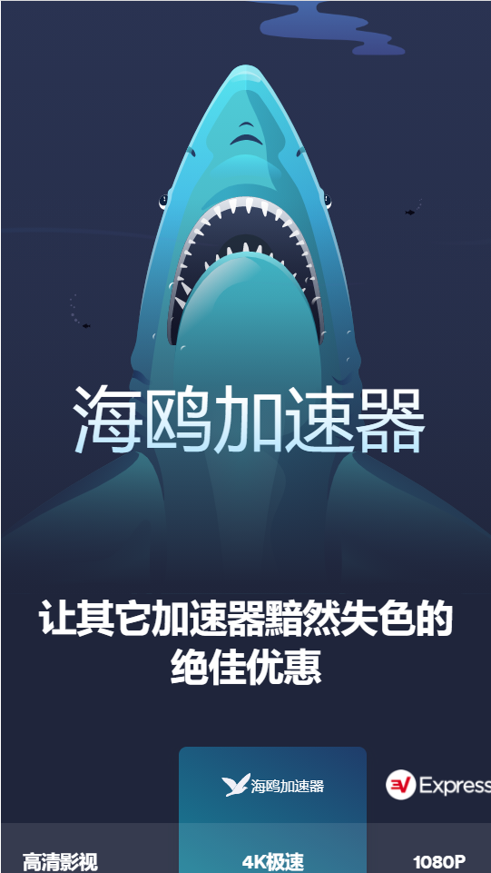 海鸥加速器旧版
