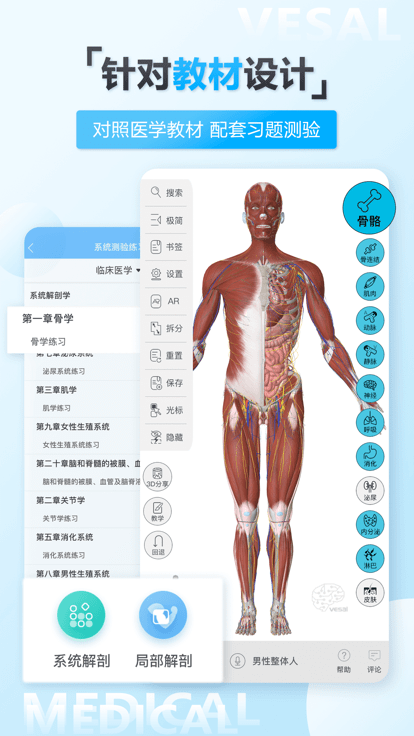 维萨里3d解剖免费版