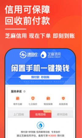 小猪回收