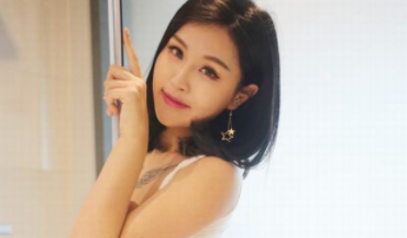 梅花app汅api免费新版破解