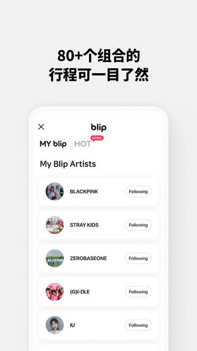 blip软件4.5.3版