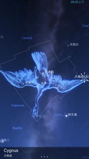 星图最新版安卓版