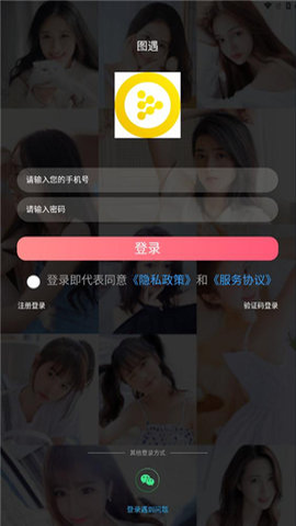 图遇