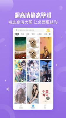 小鸟壁纸手机版