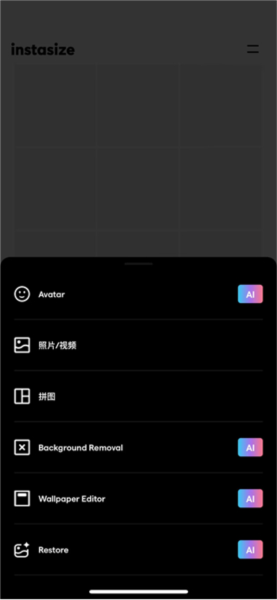 Instasize使用教程图片2