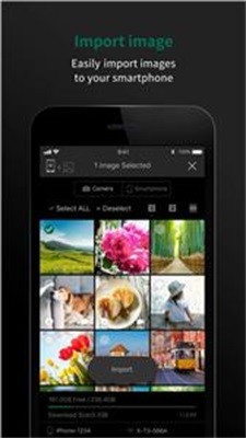 camera  remote中文版