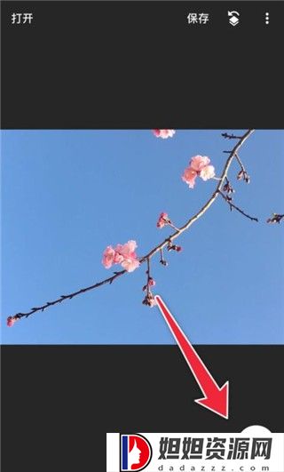 Snapseed手机修图软件免费版