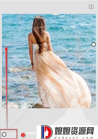 Snapseed官方正版