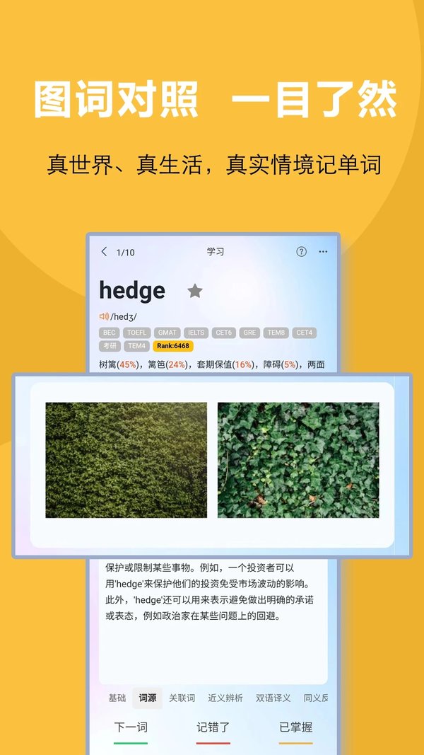 过目不忘单词