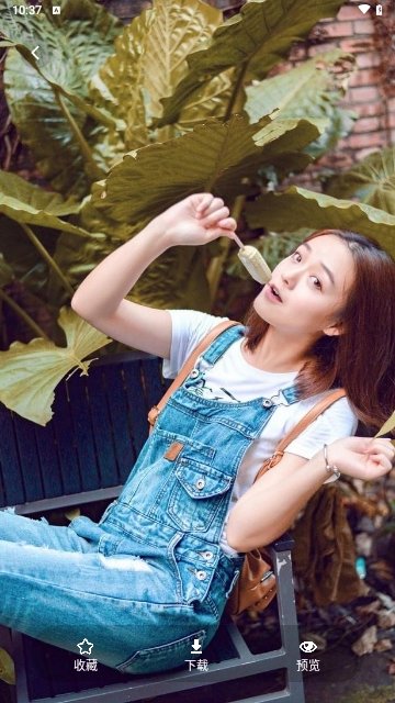 千寻免费壁纸