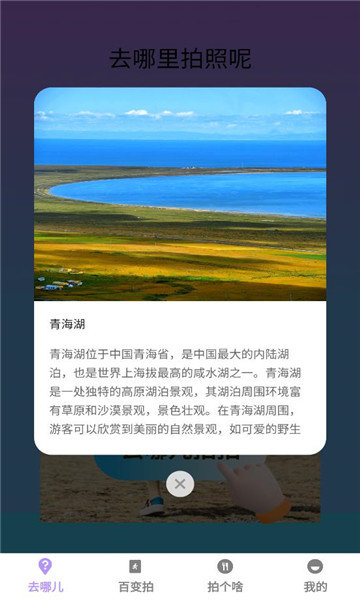 百变拍拍