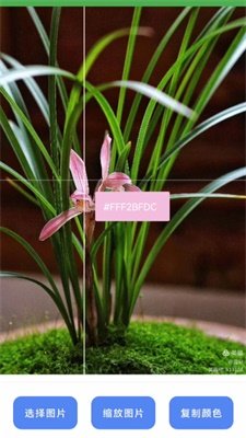 兰微工具盒子app