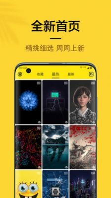 橙子4D动态壁纸免费版
