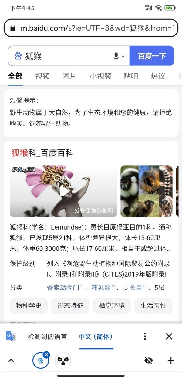 狐猴浏览器安卓版