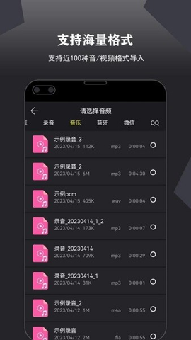 录音大宗师