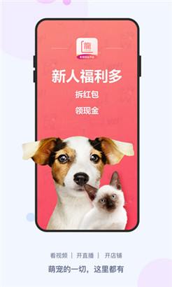 龙平台影视安卓版