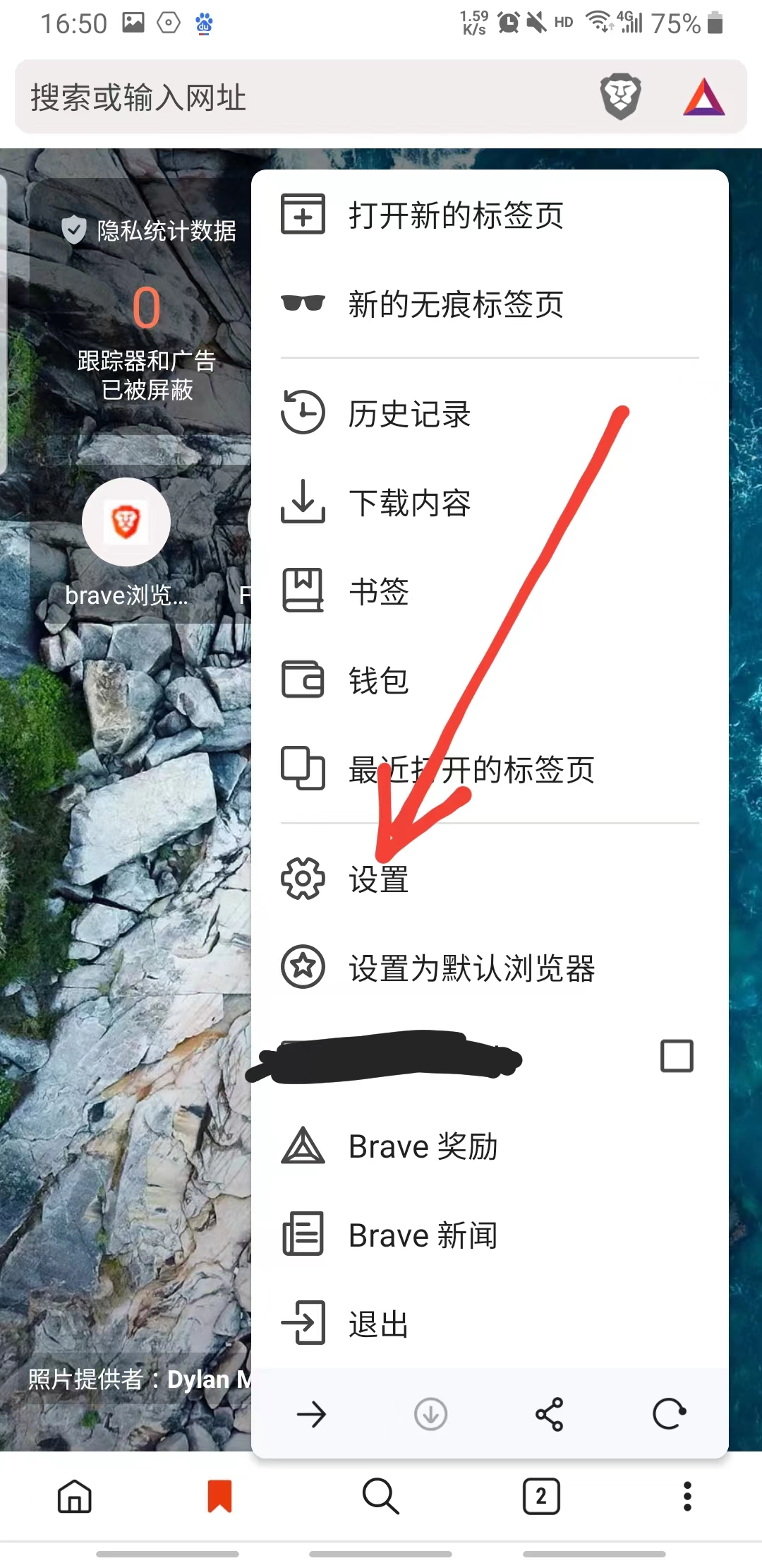 brave浏览器安卓版