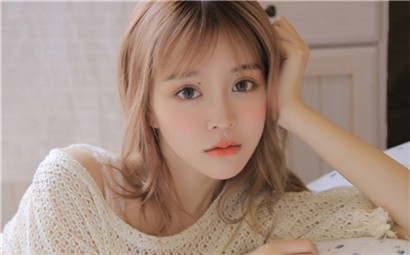 狼群在线资源www免费完整版纯净版