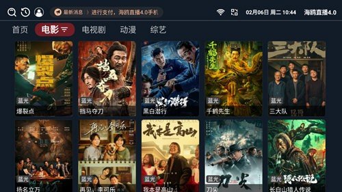 海鸥直播