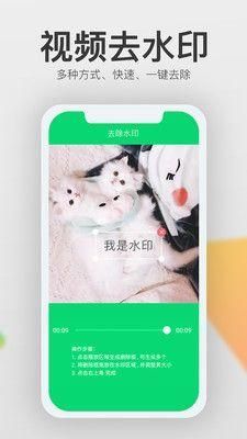 极简去水印破解版