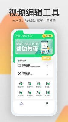 极简去水印破解版