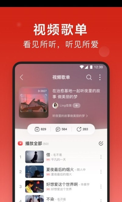 Dso Music去广告
