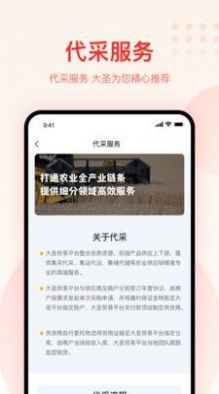 大圣联盟