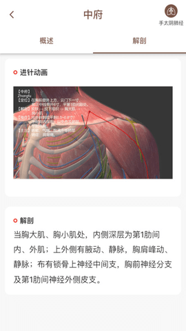 中济经络穴位2023版