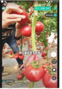 彼方短视频(彼方)