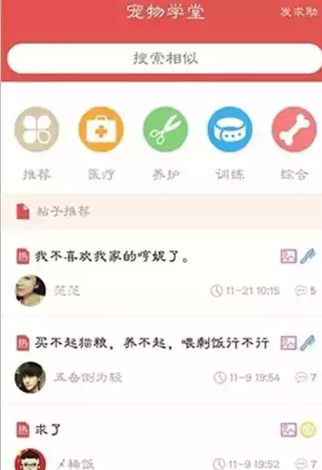 宠物派