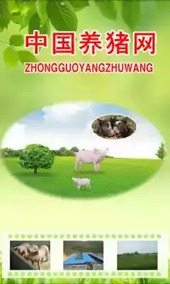 中国养猪网养猪指南